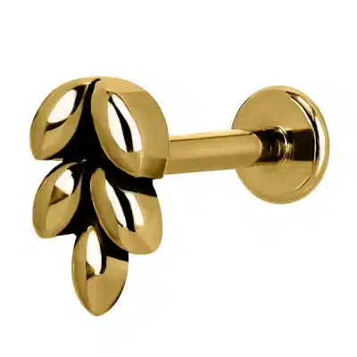 helix piercing φύλλο